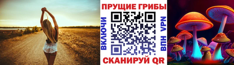 Псилоцибиновые грибы Magic Shrooms  Шебекино 